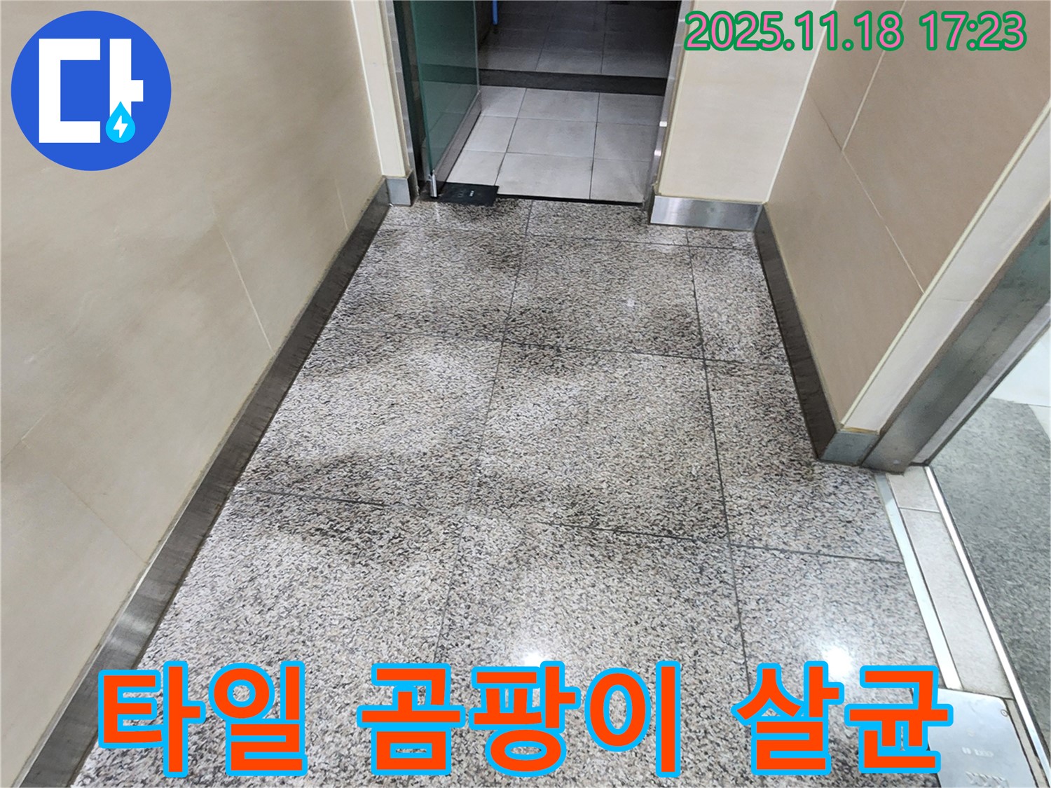 포천시 내촌면 타일 틈새 곰팡이 - 악취까지 제거하고 친환경 살균으로 안심!