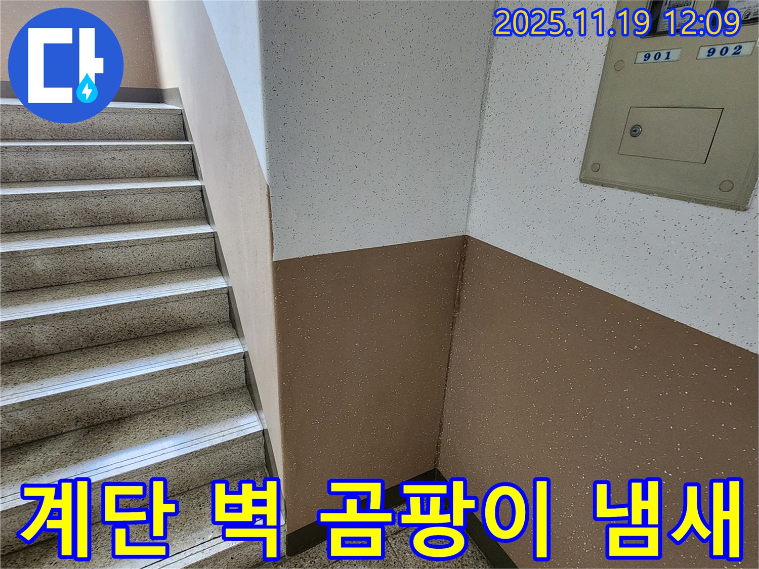 내촌면 마명리 아파트 누수 - 계단 벽 곰팡이, 곰팡이 냄새 제거 및 해결