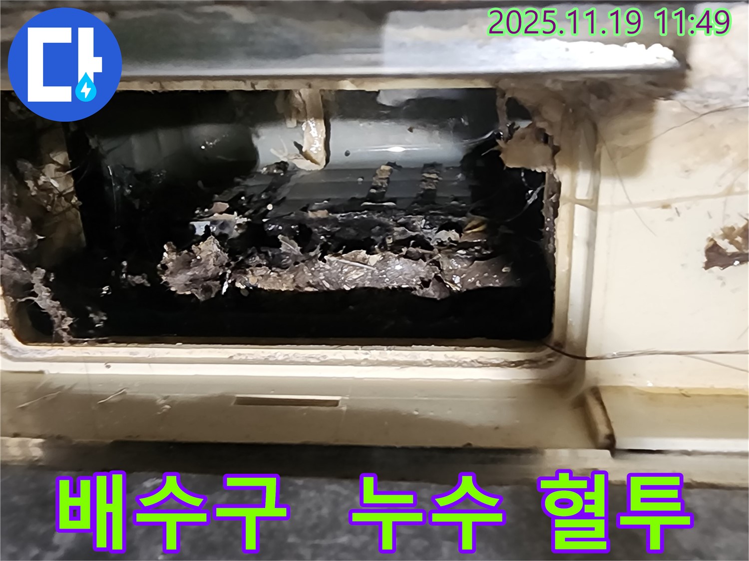포천 내촌면 마명리에서 배수구 막힘으로 인한 누수 문제 해결에 온 힘을 쏟는 전문가