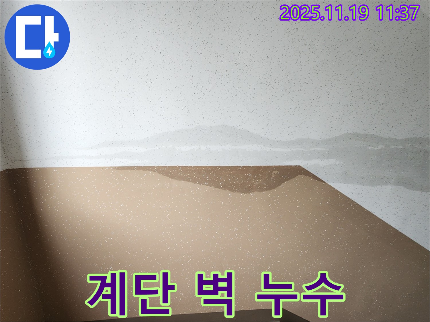 포천시 내촌면 마명리 건물 계단 벽 누수 - 긴급 누수 점검 및 초기 대응