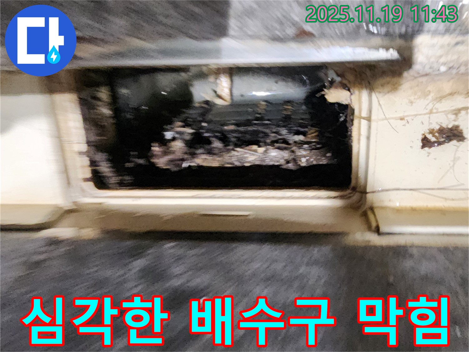 포천시 내촌면 마명리 누수 현장 - 심각하게 막힌 배수구로 인해 누수가 발생한 상황을 보여줍니다.