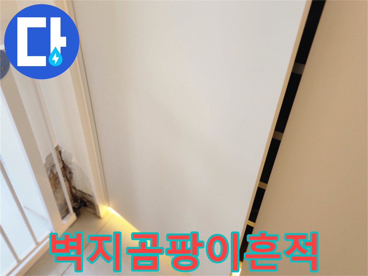 내촌리 작업현장-벽지 아래쪽에 발생한 곰팡이와 오염 부위