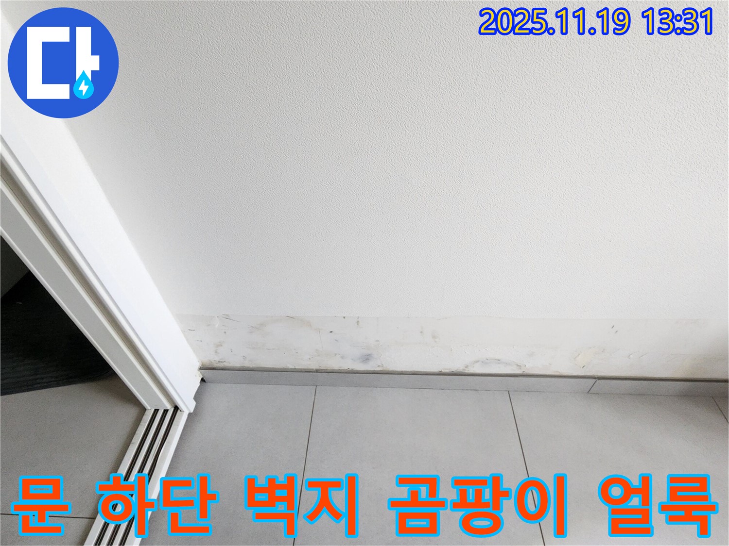 내촌면 누수 - 문 하단 벽지 곰팡이 얼룩, 벽지가 곰팡이로 얼룩덜룩해졌어요!