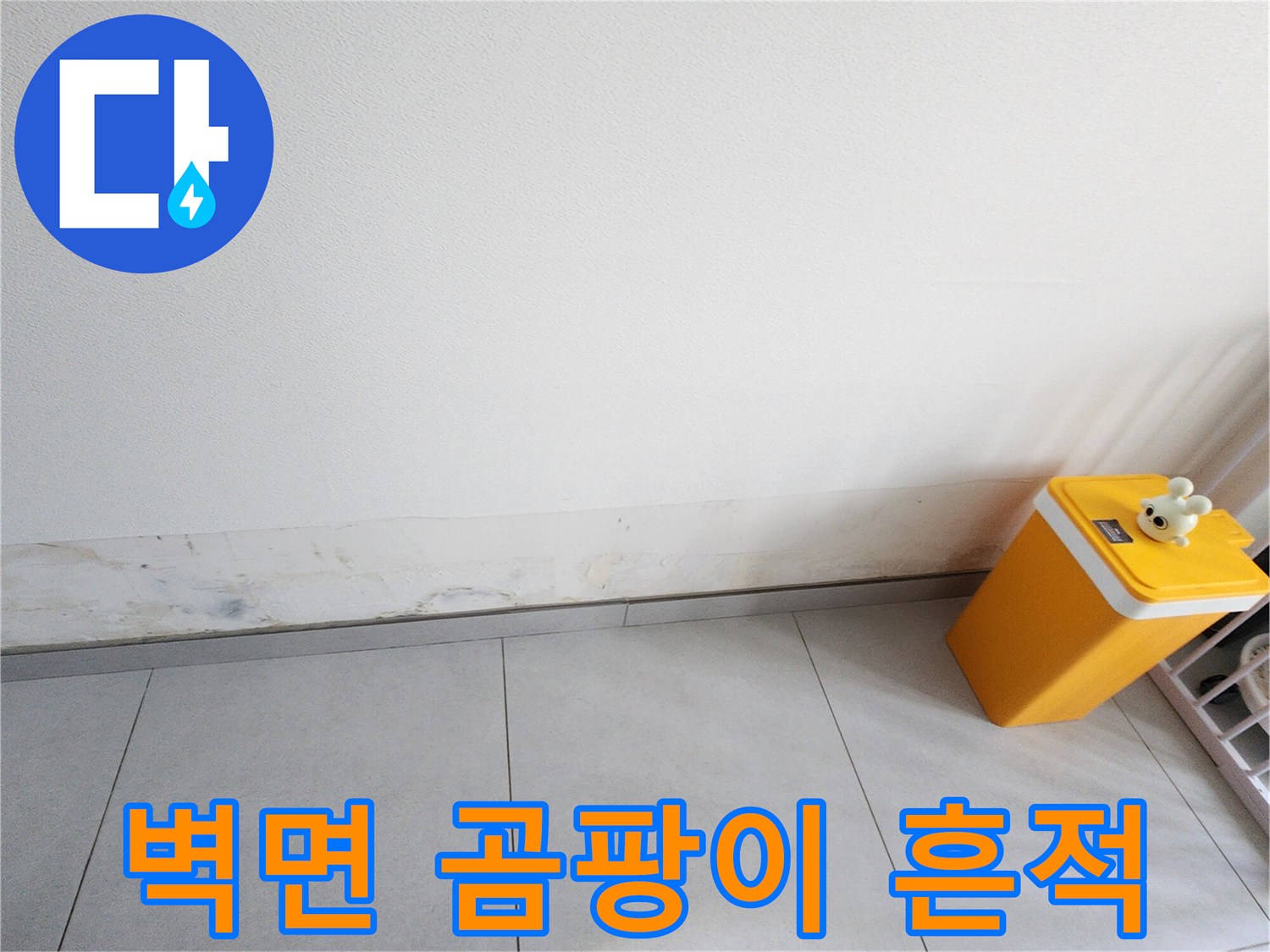내촌면 현장 사진 - 벽체 하단부의 곰패와 습기 침투 흔적
