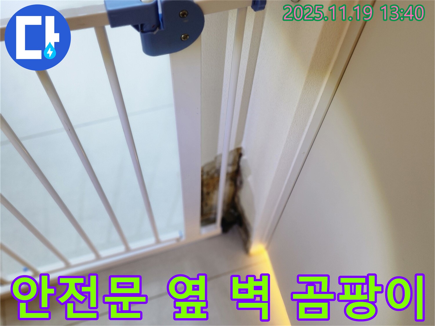 안전 문 옆 벽면 하단에 곰팡이가 심하게 발생한 모습 - 누수 해결 후 쾌적한 공간으로 변화를 약속합니다.