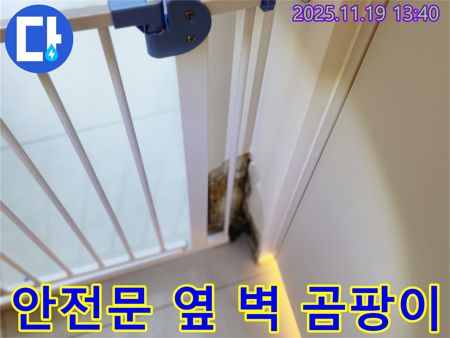 안전 문 옆 벽면의 곰팡이 - 누수로 인해 습기가 발생하여 곰팡이가 생긴 모습입니다.