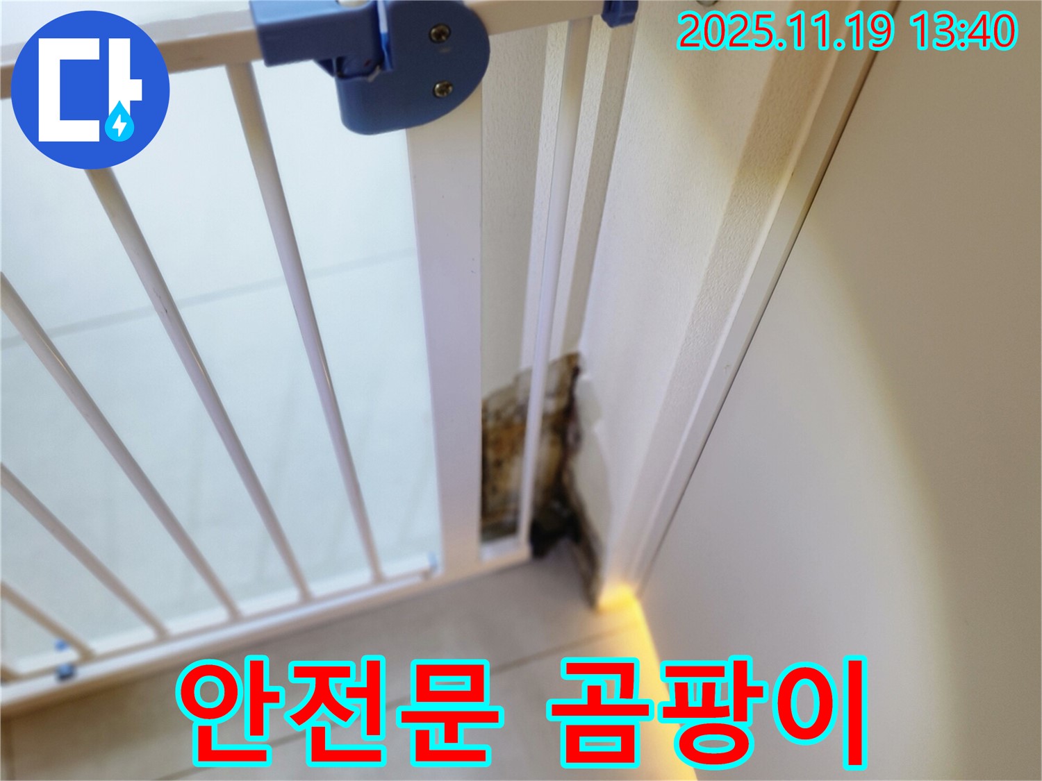 안전 문 주변 벽면의 곰팡이 - 누수로 인해 안전문 주변에 곰팡이가 발생한 모습입니다.