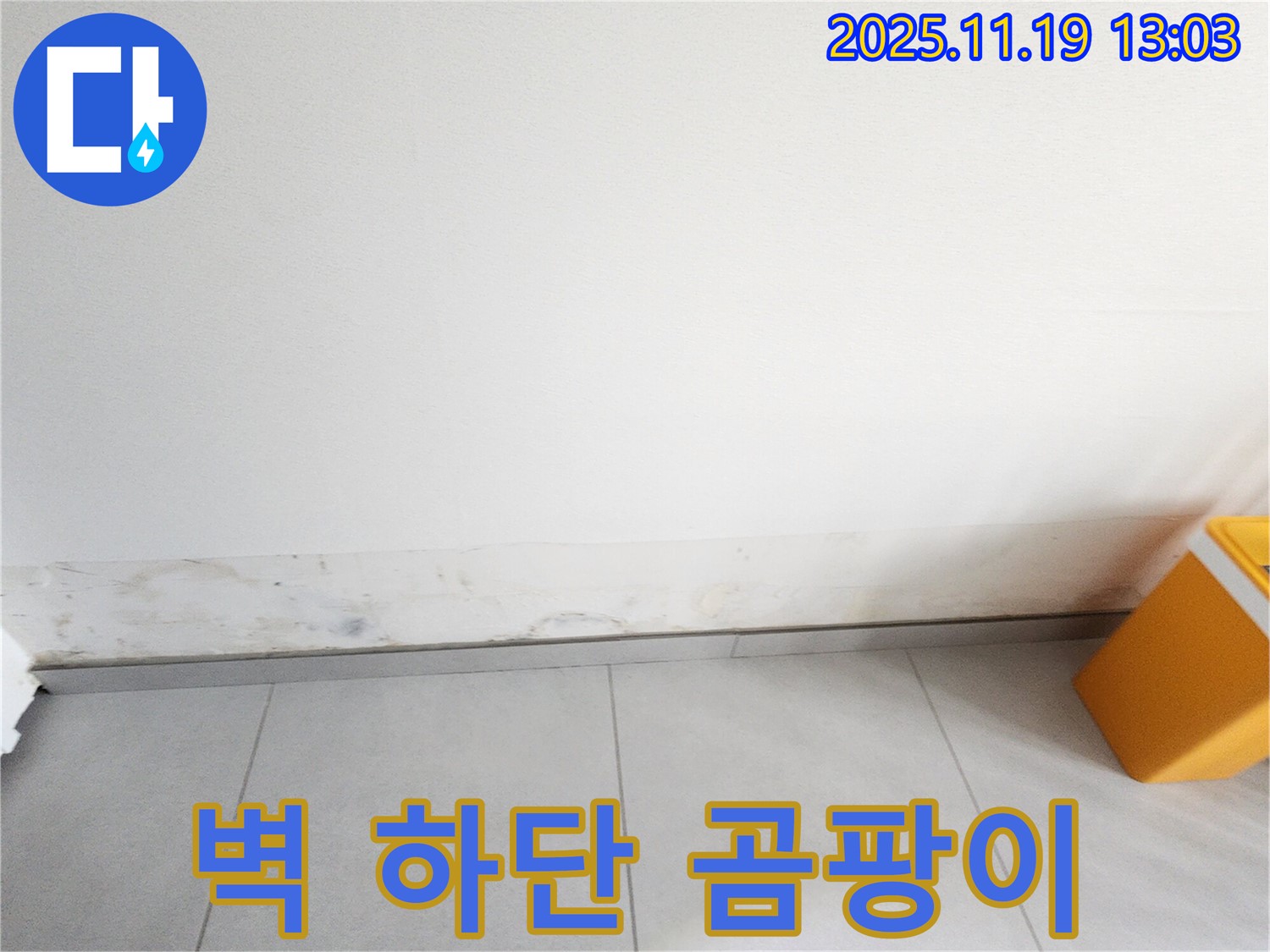 포천시 내촌면 내리 벽 하단 곰팡이 문제 해결을 위한 누수탐지 및 공사
