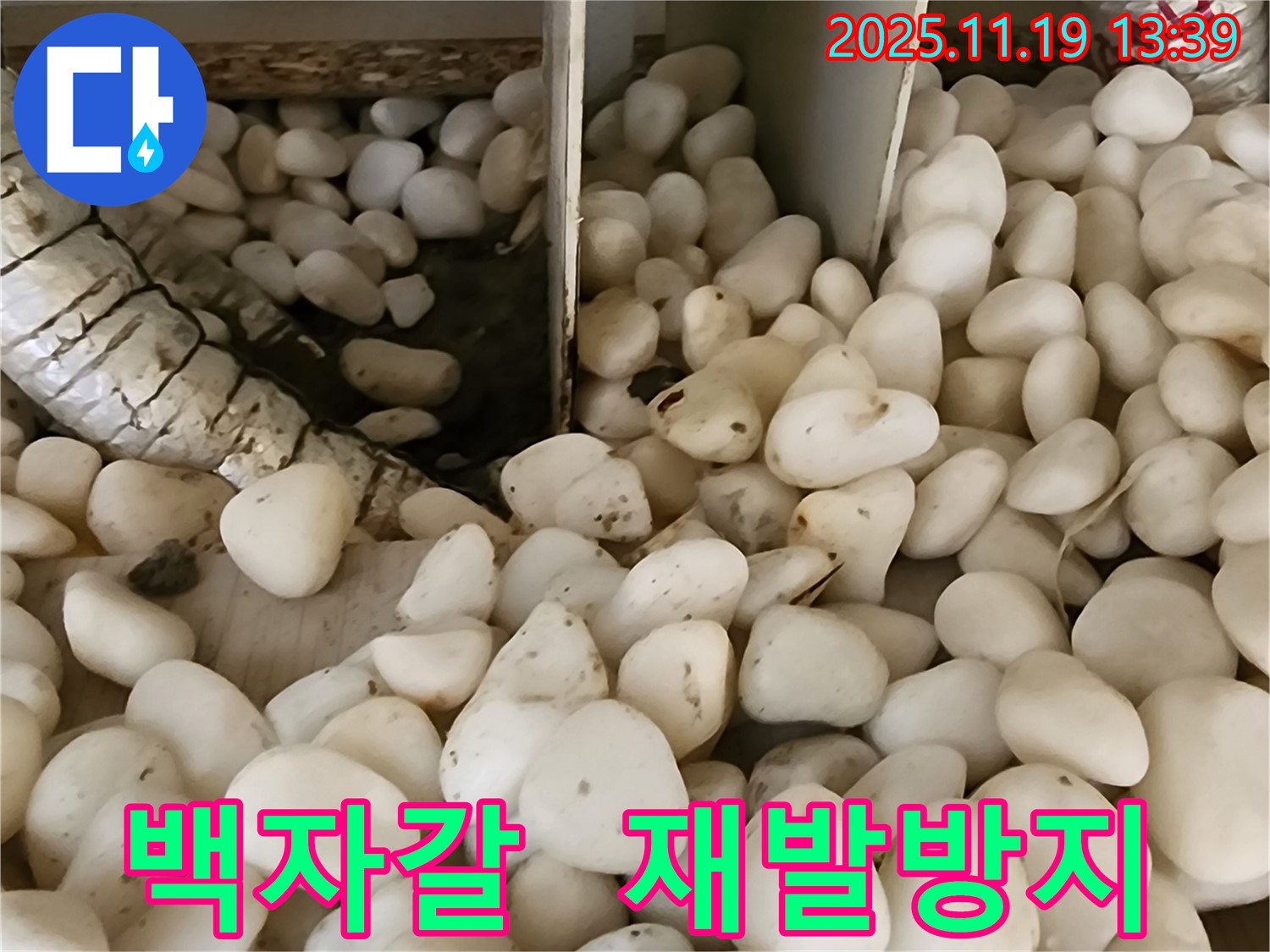 포천시 내촌면 누수 - 백자갈 아래 숨겨진 누수, 재발 방지를 위한 꼼꼼한 시공!
