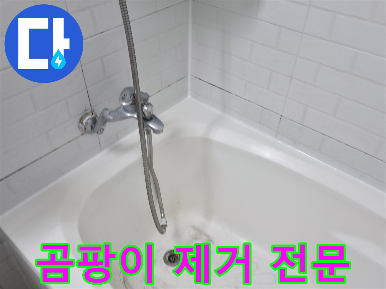 곰팡이 제거 전문 - 욕실 타일 틈새 완벽 청소