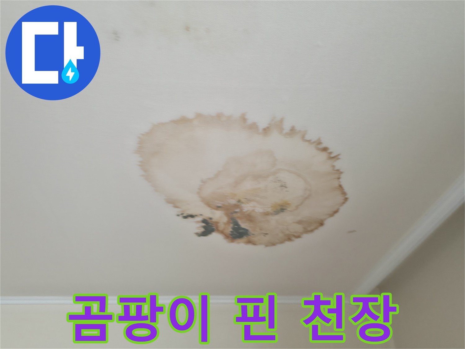 곰팡이 핀 천장 - 누수 흔적 - 서대문구 누수탐지 및 제거