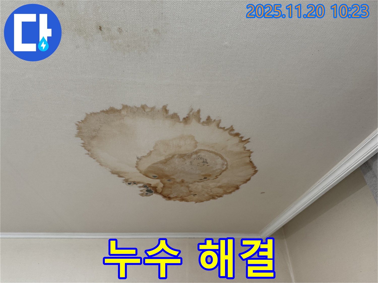 누수 해결 완료 - 쾌적한 공간 - 안전한 건물 - 만족스러운 결과