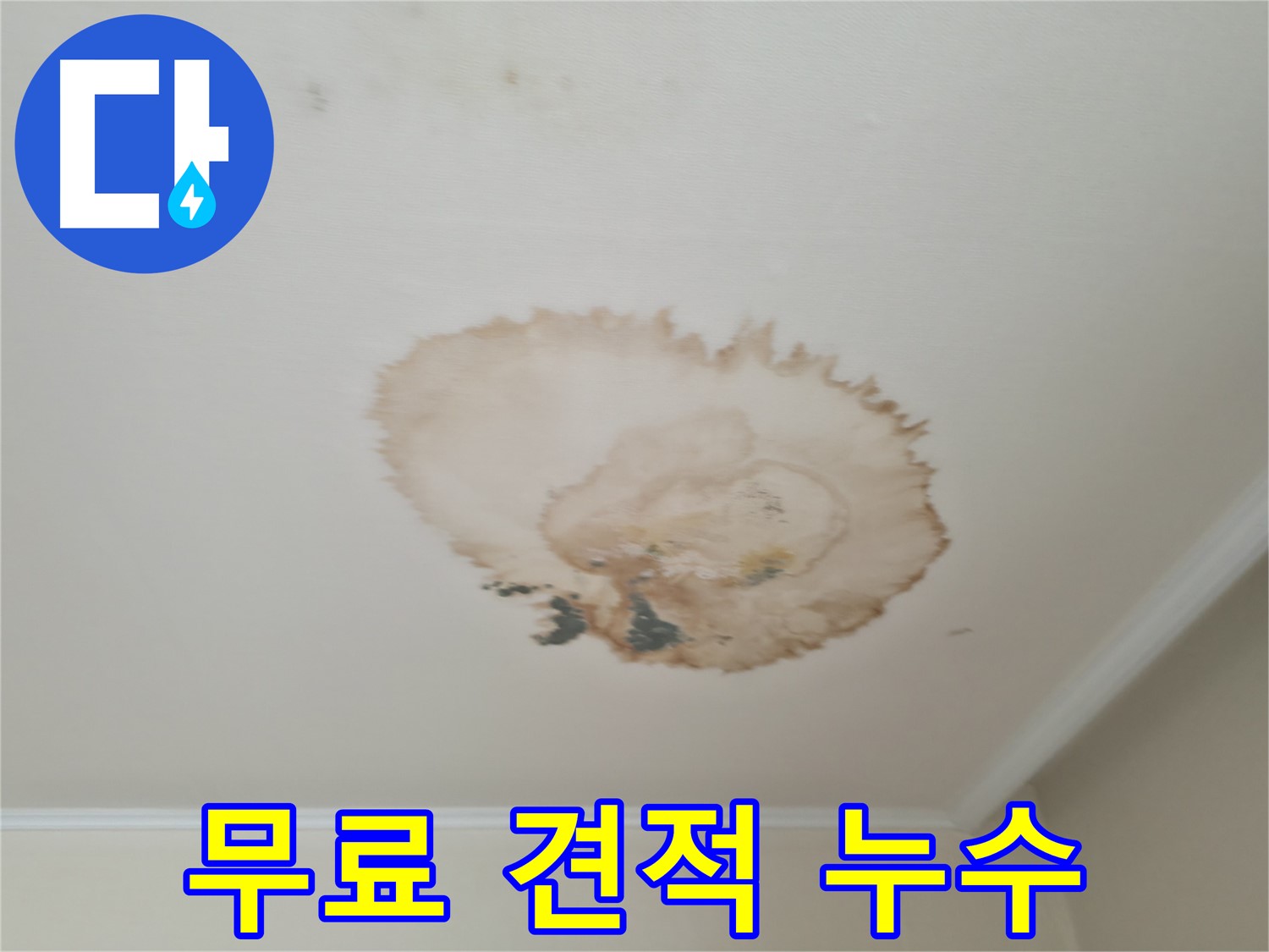 무료 견적 상담 - 천장 누수 해결 - 서대문구 누수