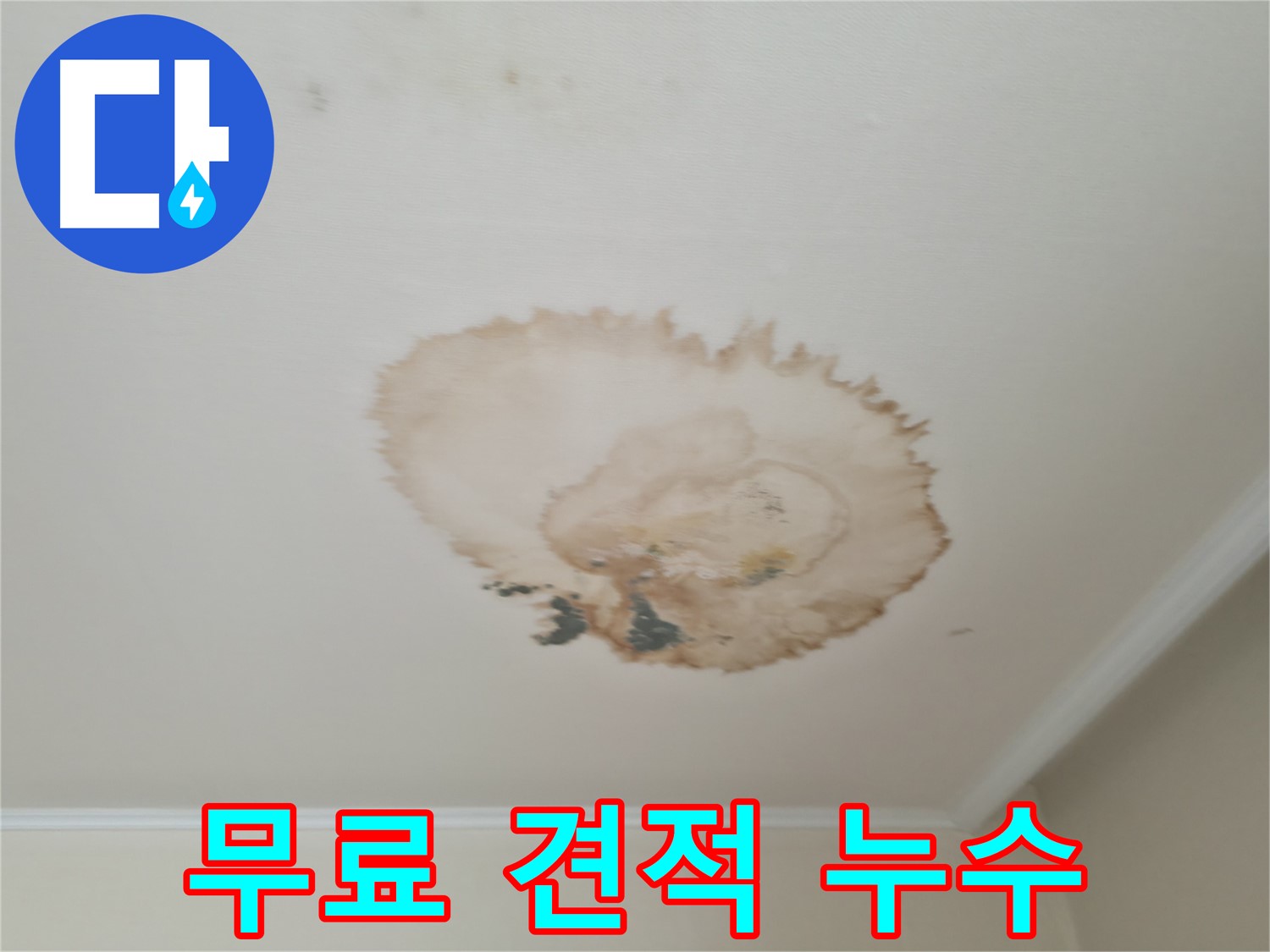 무료 견적 상담 - 천장 누수 해결 - 서대문구 누수