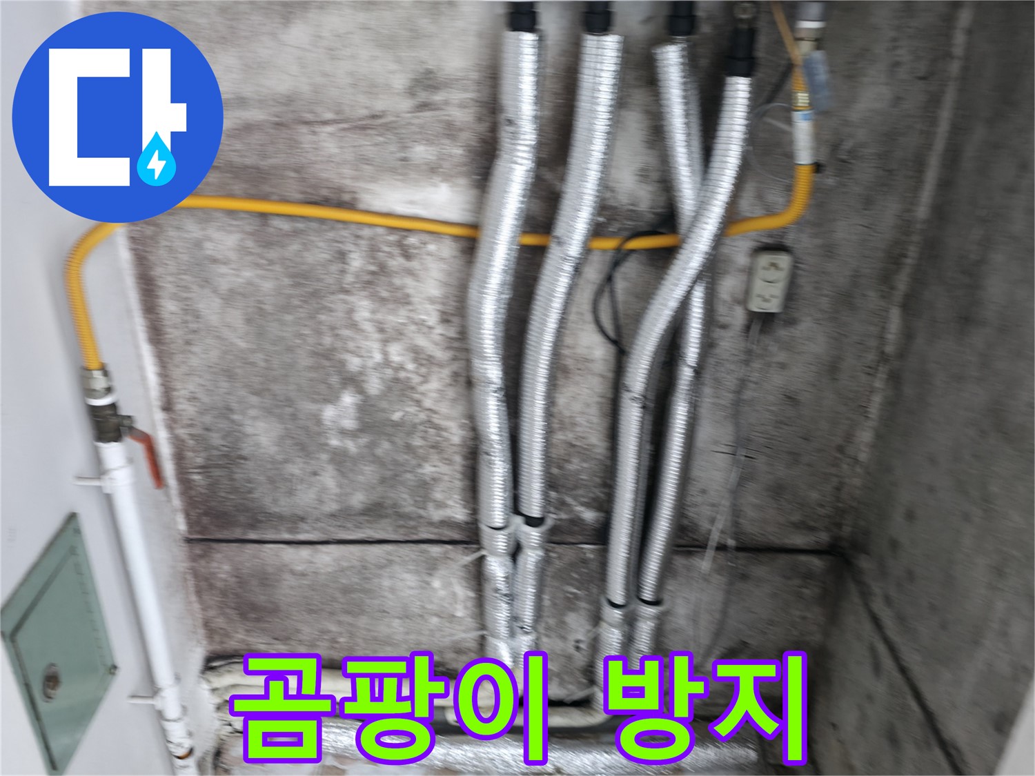 새 배관 교체 후 곰팡이 방지 - 낡은 배관 교체로 곰팡이 걱정 없이 쾌적한 환경을 만들어 드립니다.