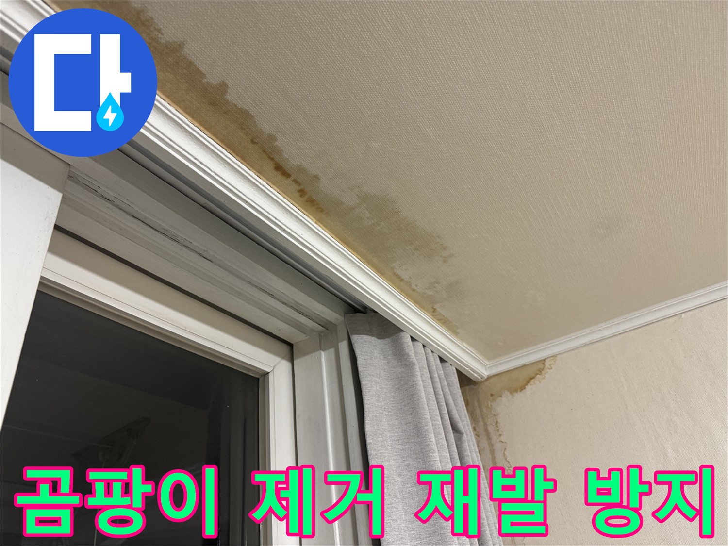 서대문구 창문 주변 천장 곰팡이 - 완벽 제거 및 재발 방지 시공 이미지입니다.