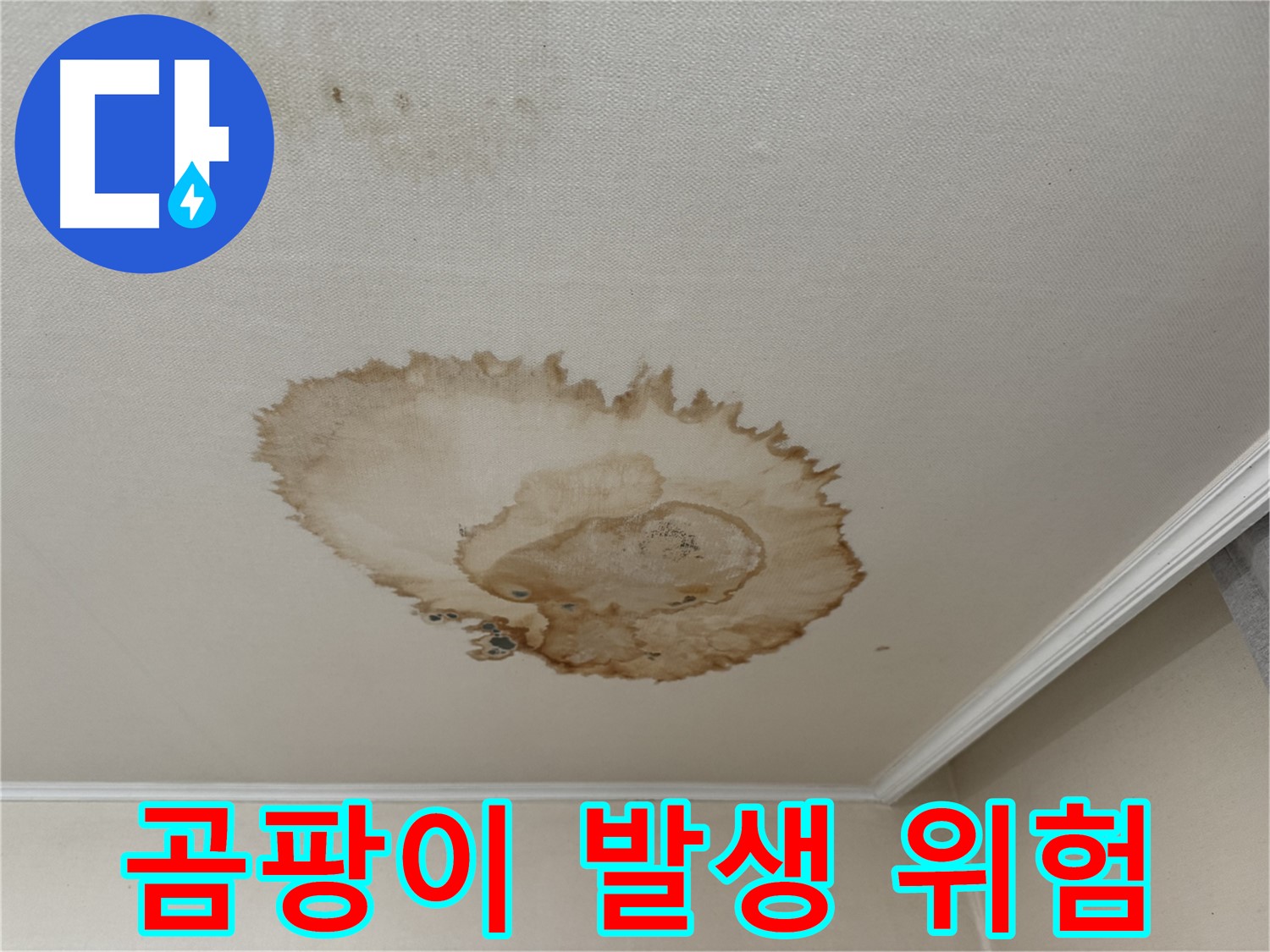 서대문구 홍제동 누수 - 곰팡이 발생 위험 - 신속 조치 필요