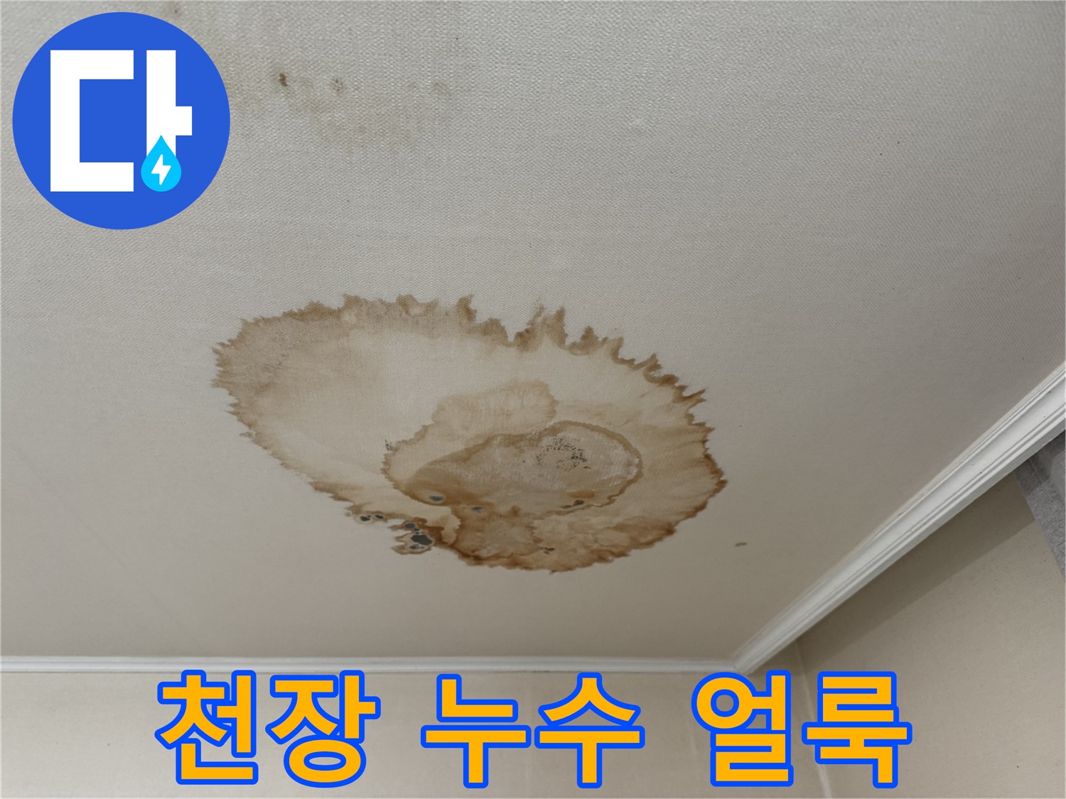 서대문구 홍제동 누수 - 곰팡이가 핀 천장 누수 얼룩