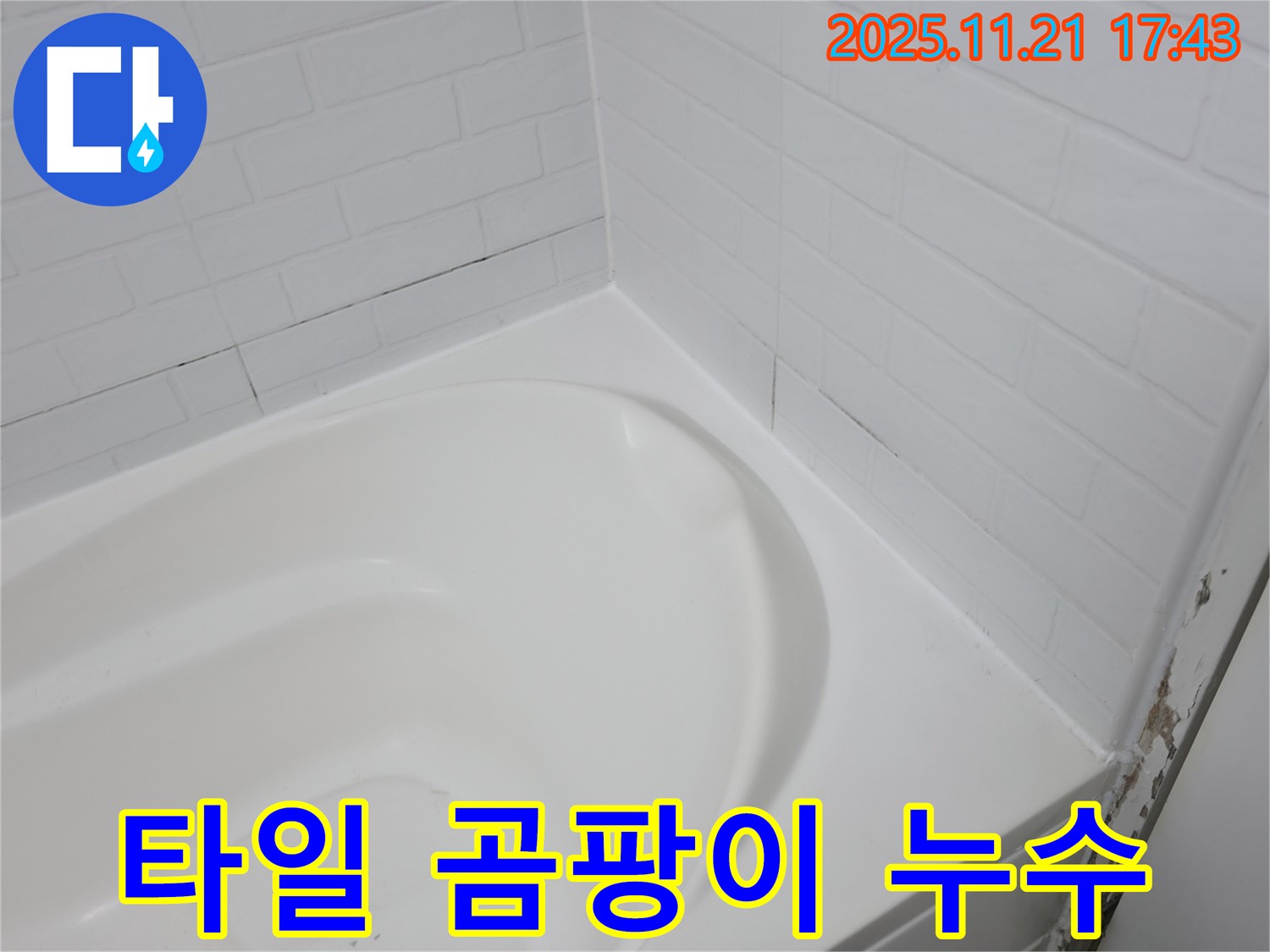 서대문구 홍제동 욕조 - 곰팡이 핀 타일 틈새 - 누수 가능성 매우 높음!