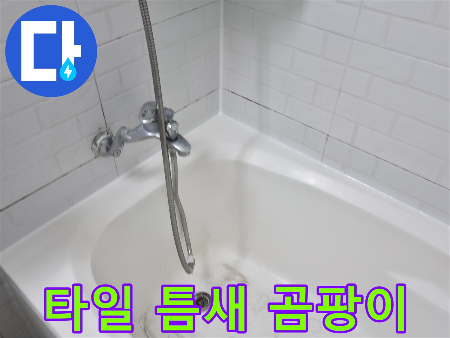 심각한 타일 틈새 곰팡이 - 곰팡이 제거가 시급한 상황