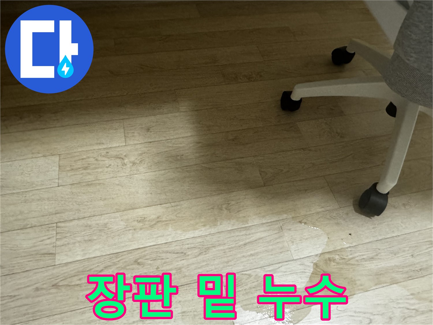 장판 밑에 물이 고여 있는 모습 - 곰팡이 발생 가능성이 높아 보입니다.