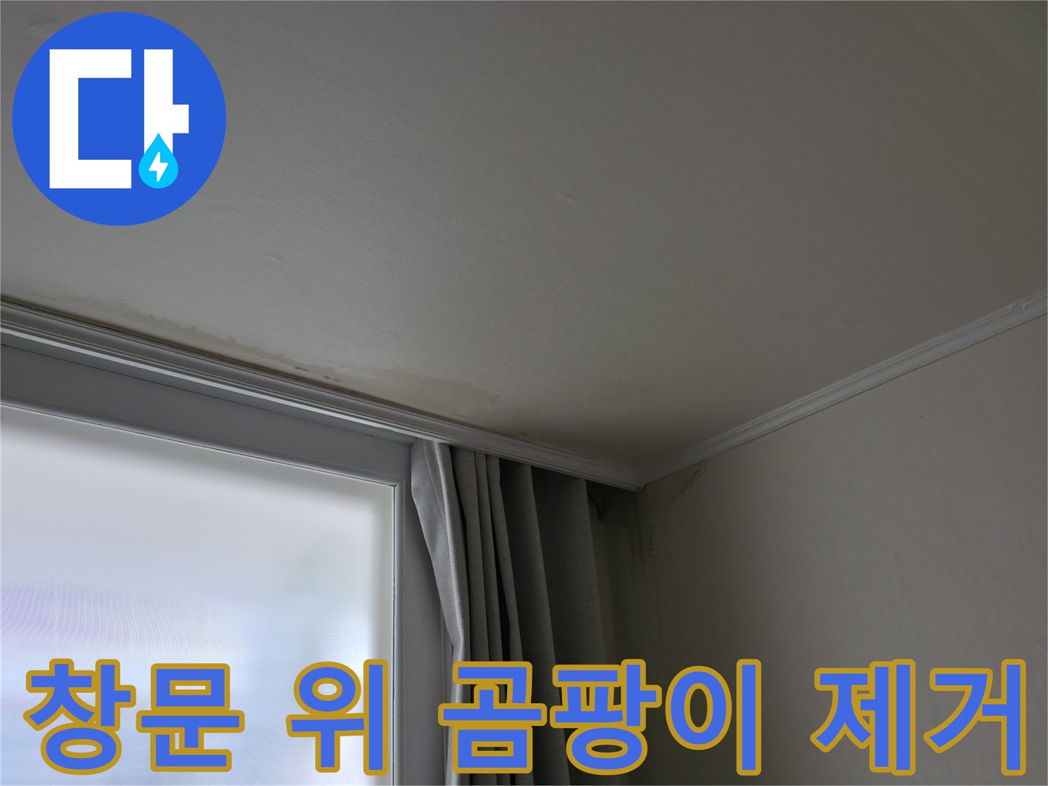 창문 위 곰팡이 - 곰팡이 제거 및 쾌적한 환경 조성