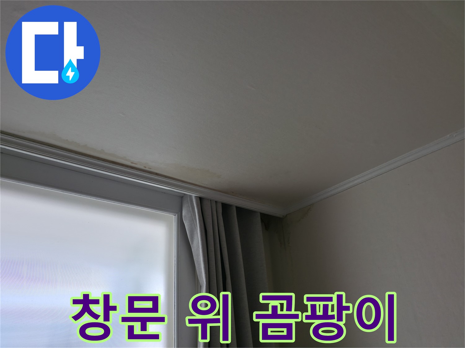창문 위 곰팡이 - 누수와 결로 동시 의심