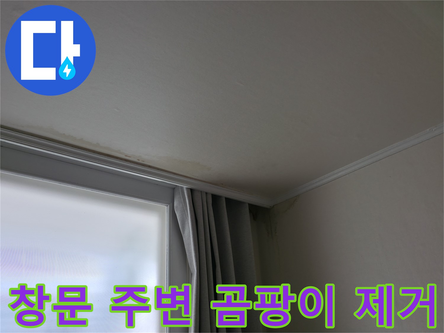 창문 주변 곰팡이 - 곰팡이 제거 및 방지 시공