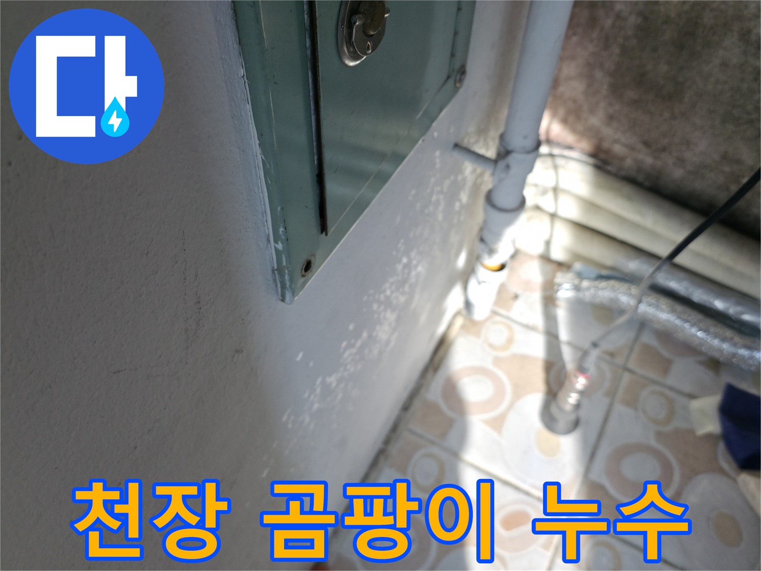 천장 곰팡이 - 윗집 누수 의심, 서대문구 누수 전문가에게 문의하세요.