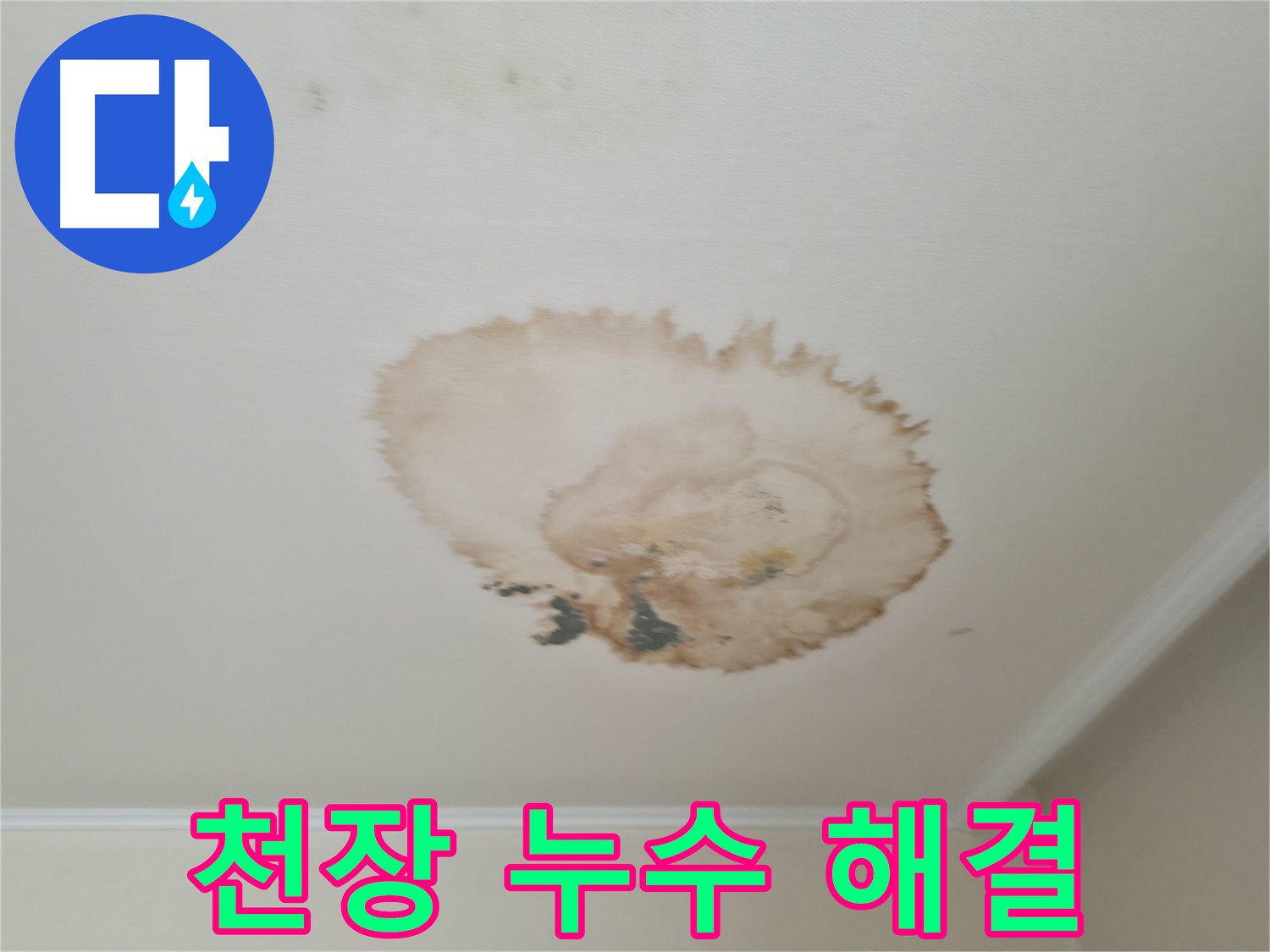 천장 누수 해결 - 누수 흔적 제거 - 깨끗하고 안전한 공간