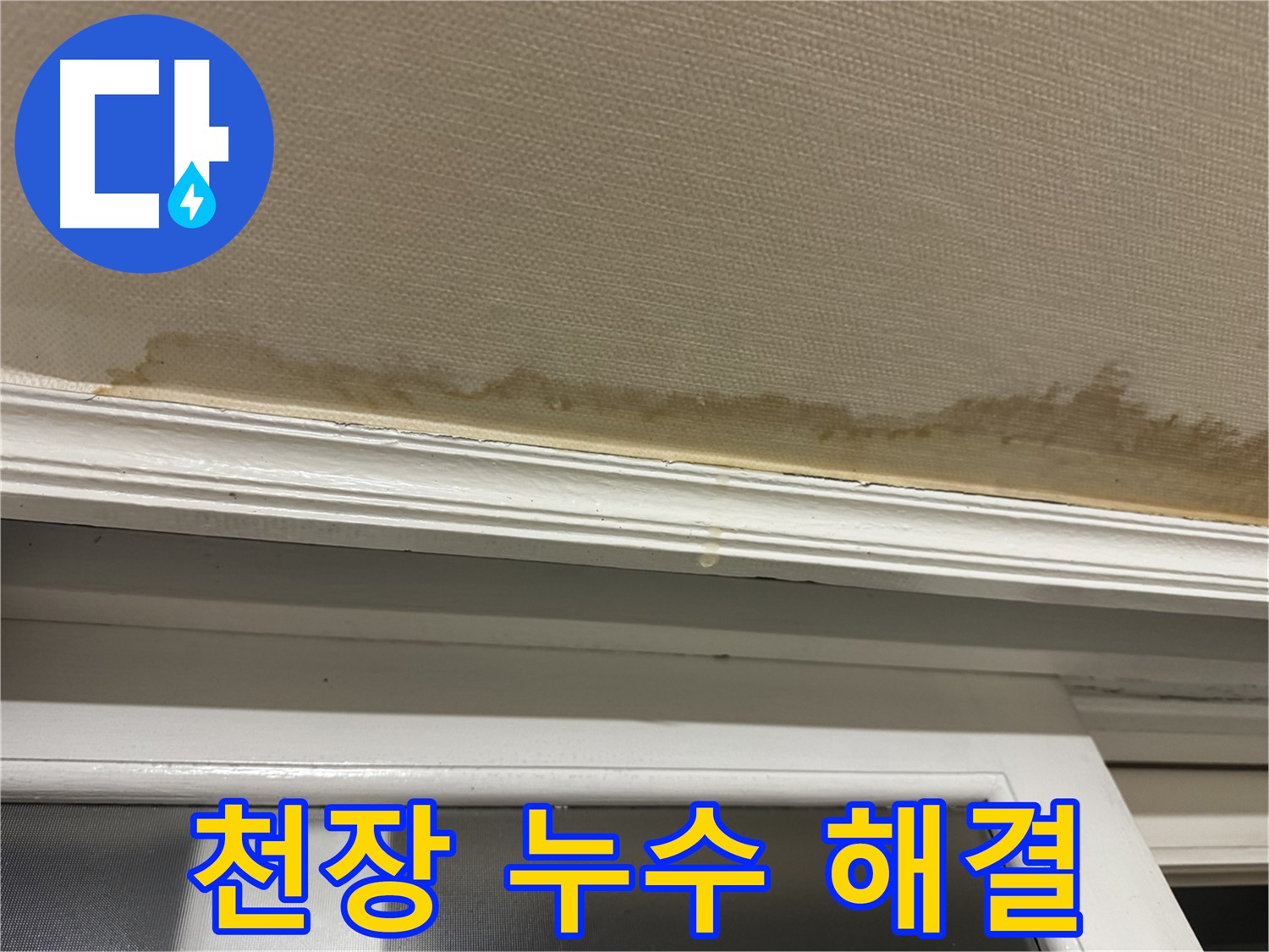 천장 누수로 인한 벽지 젖음 - 누수 해결의 시급성을 보여주며 - 신속한 조치가 필요함을 강조합니다.