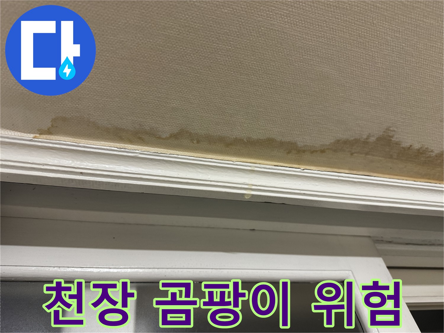 천장에 핀 곰팡이 - 건강을 위협하는 누수의 증거입니다.