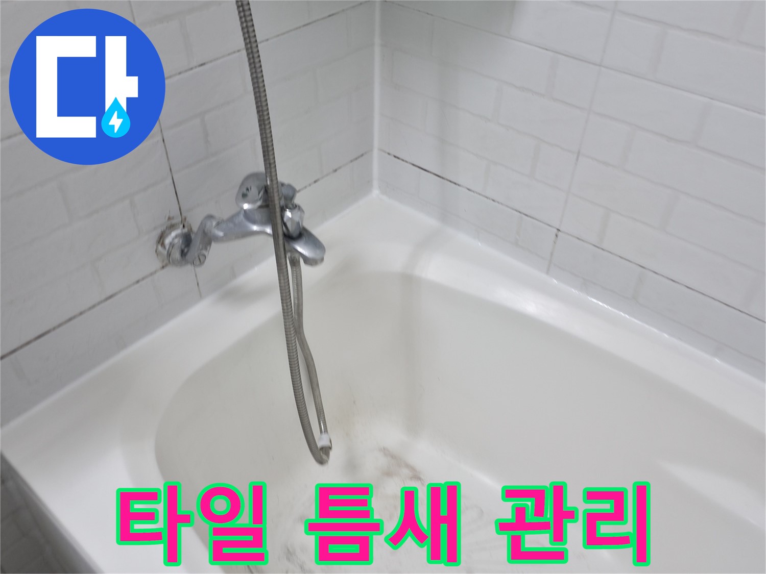 타일 틈새 관리 방법 - 곰팡이 방지