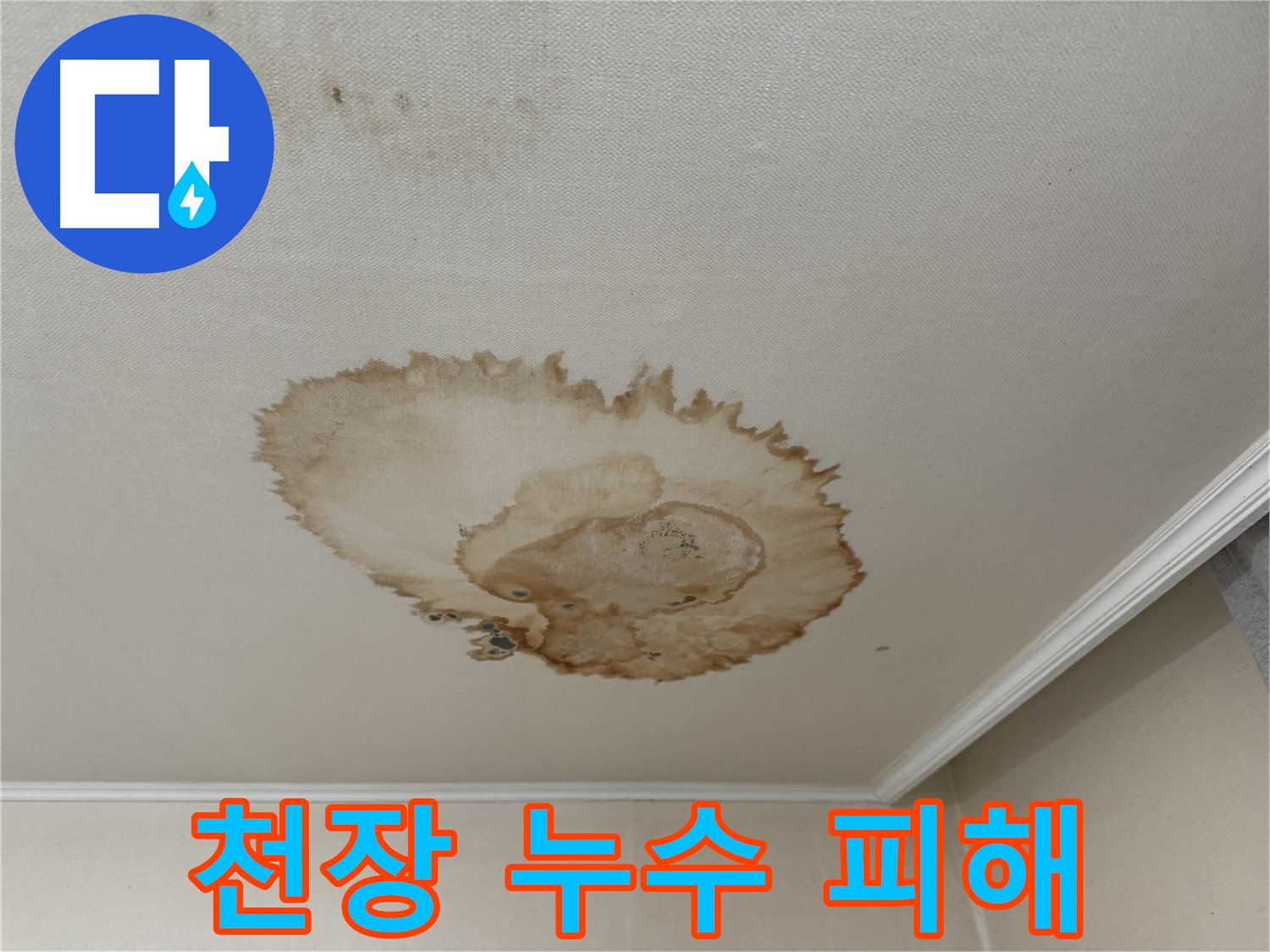 홍제1동 천장 누수 - 물이 맺혀 떨어지는 천장