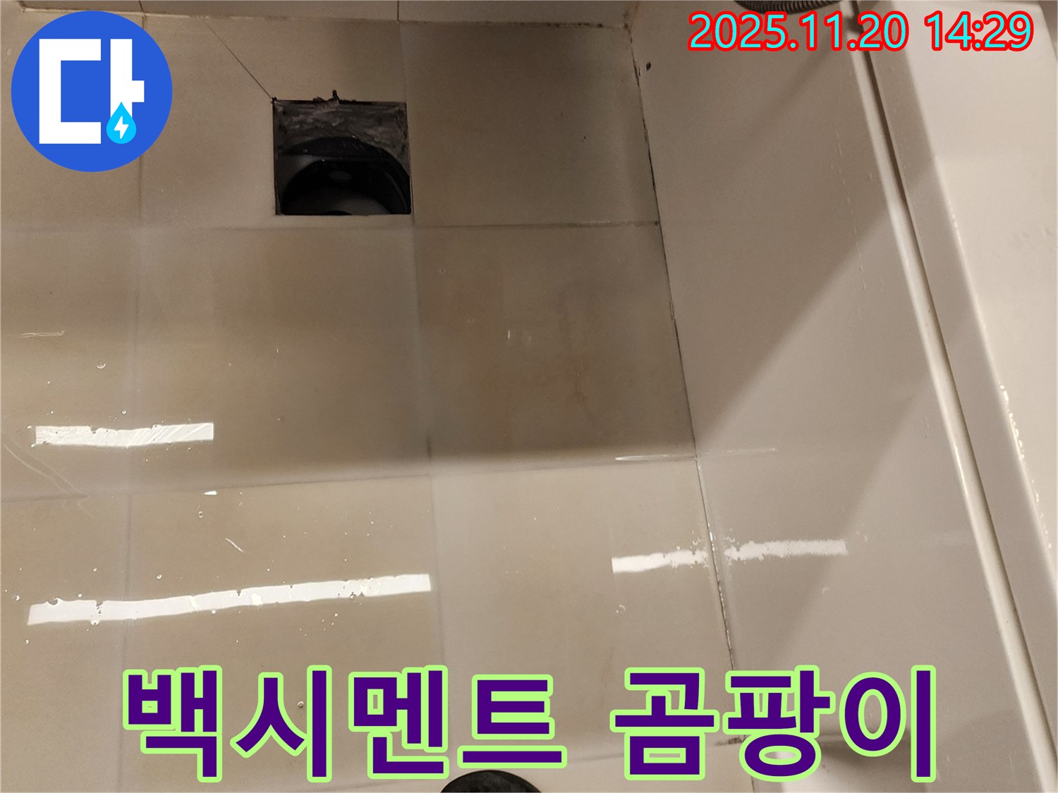 가산면 마산리 욕실 배수구 누수 - 배수구 주변 타일 틈새 백시멘트 오염 및 곰팡이 발생 상태를 점검