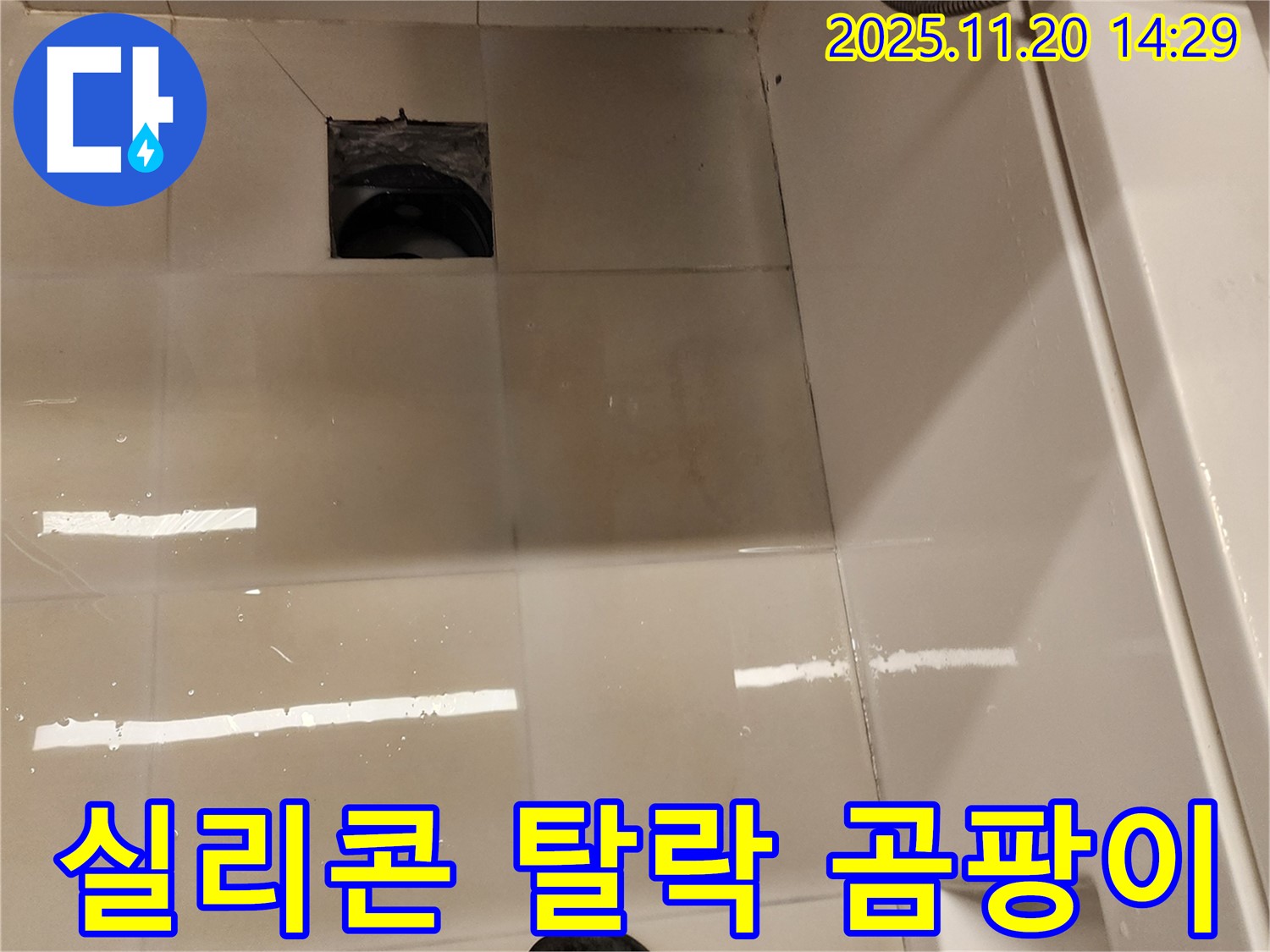 가산면 마산리 욕실 배수구 누수 - 실리콘 탈락 및 곰팡이 발생으로 인한 누수 위험 점검