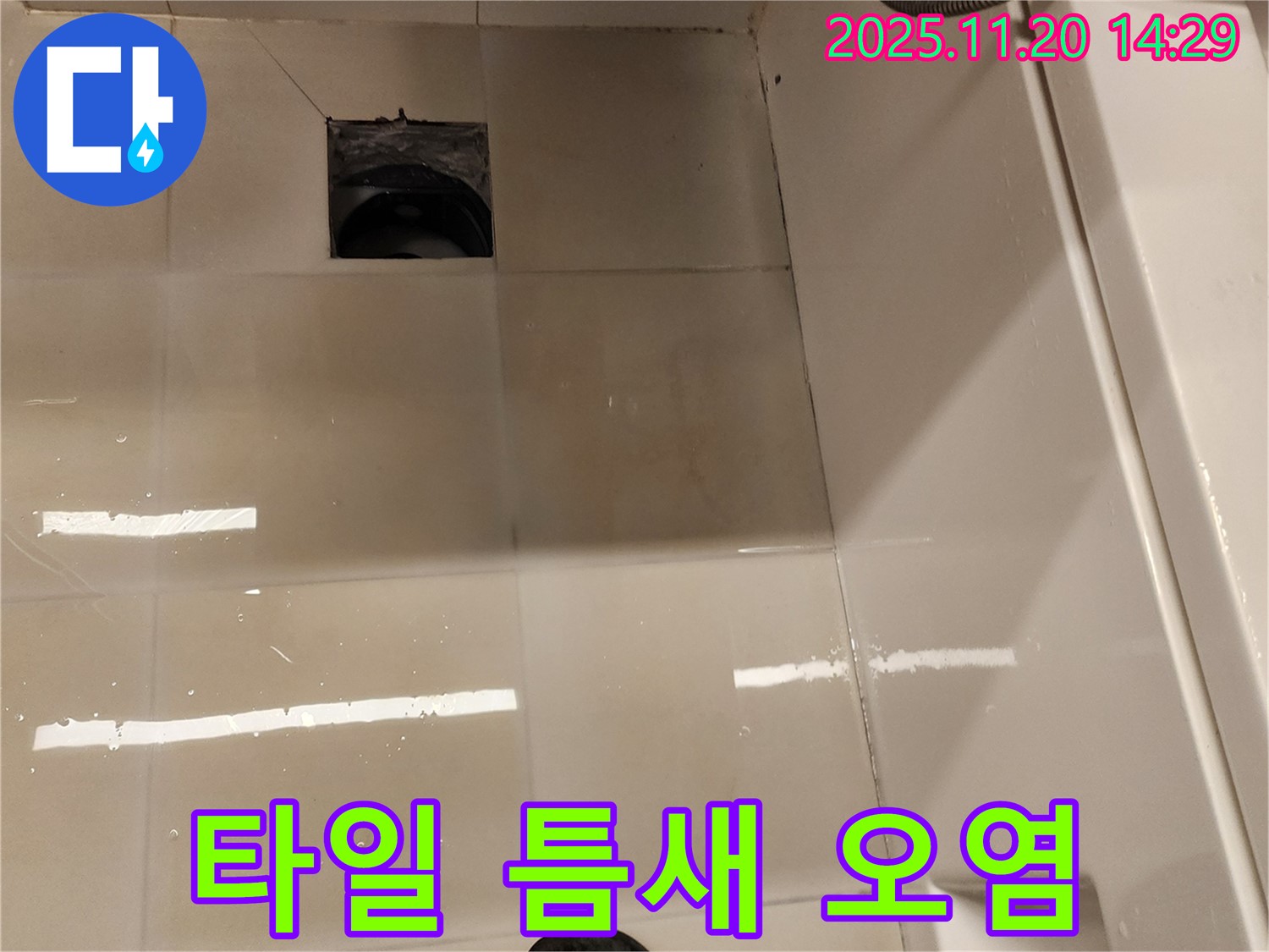 가산면 마산리 욕실 배수구 누수 - 타일 틈새 오염 및 물고임 상태 점검