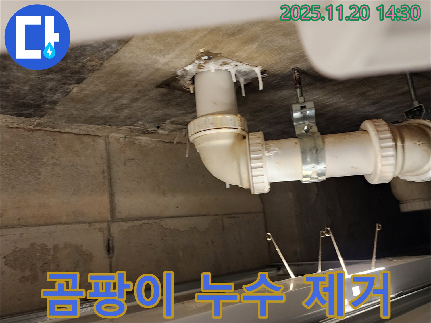 곰팡이 누수 제거 - 가산면 마산리 누수, 배수관 누수로 인한 곰팡이까지 깨끗하게 제거!