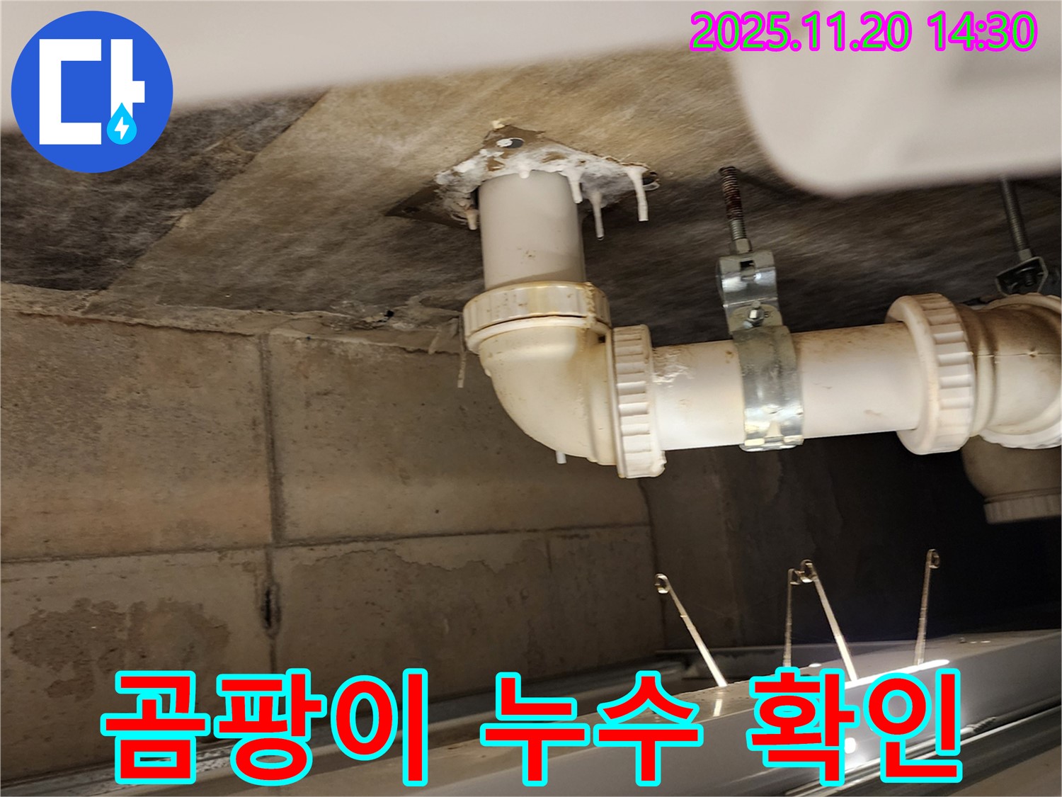 곰팡이 누수 확인 - 가산면 마산리 누수, 배수관 주변 곰팡이는 누수 신호!