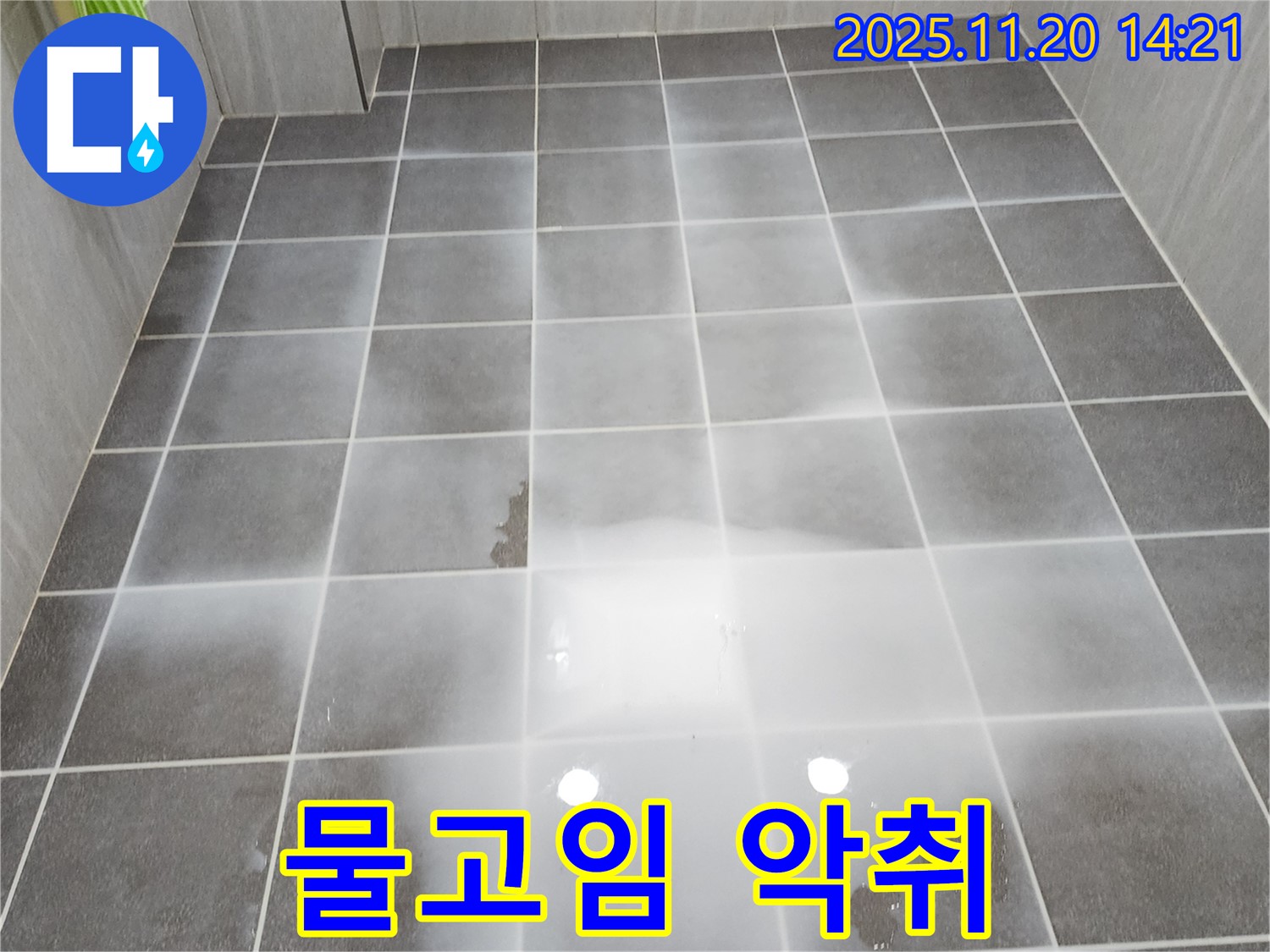 욕실 물고임 - 곰팡이 발생 및 악취 확산 우려, 쾌적한 욕실 환경 긴급 조성이 필요합니다.