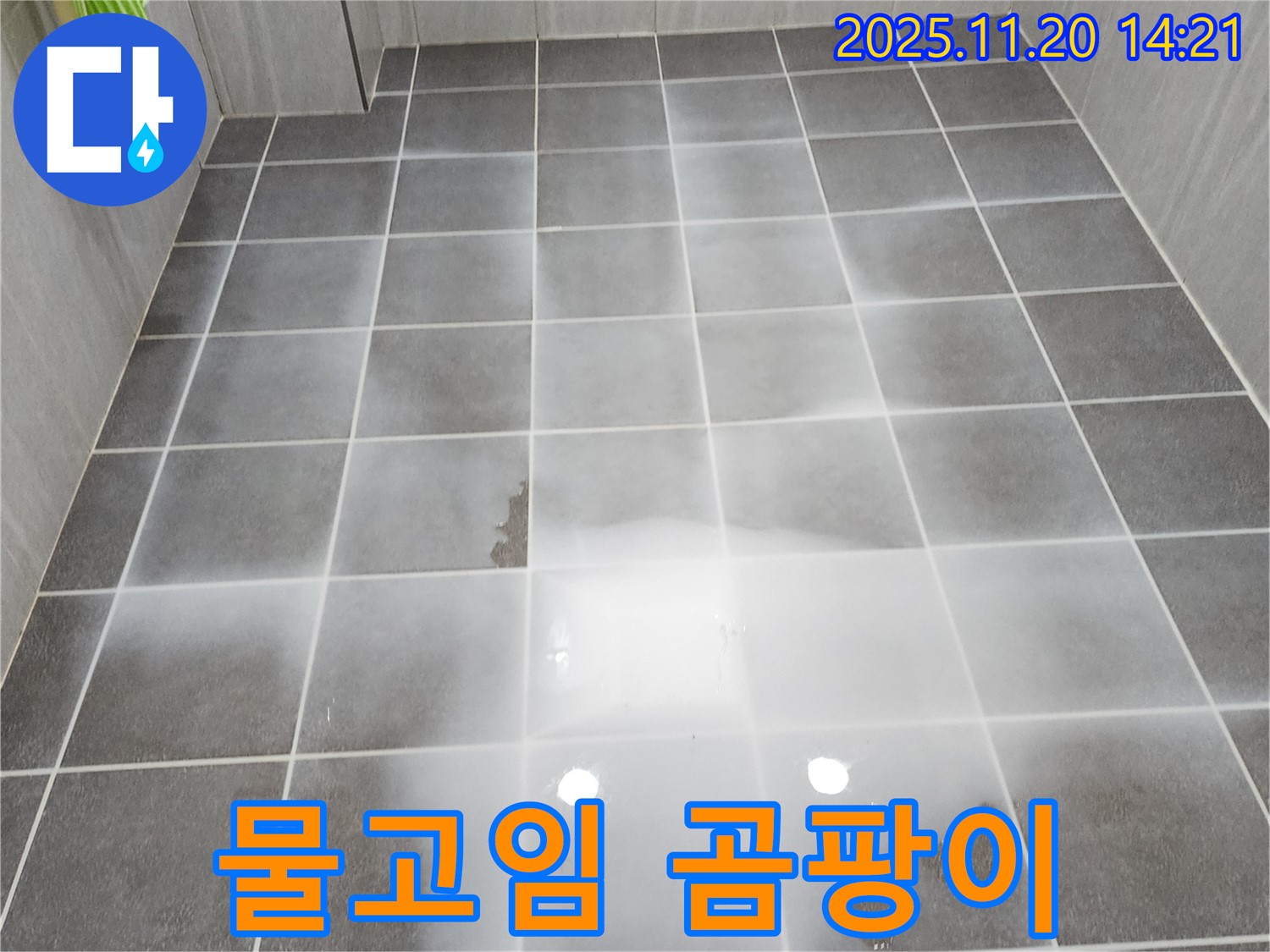 욕실 타일 위 물고임 - 곰팡이 서식 및 건강 위협, 쾌적한 환경 조성이 시급합니다.
