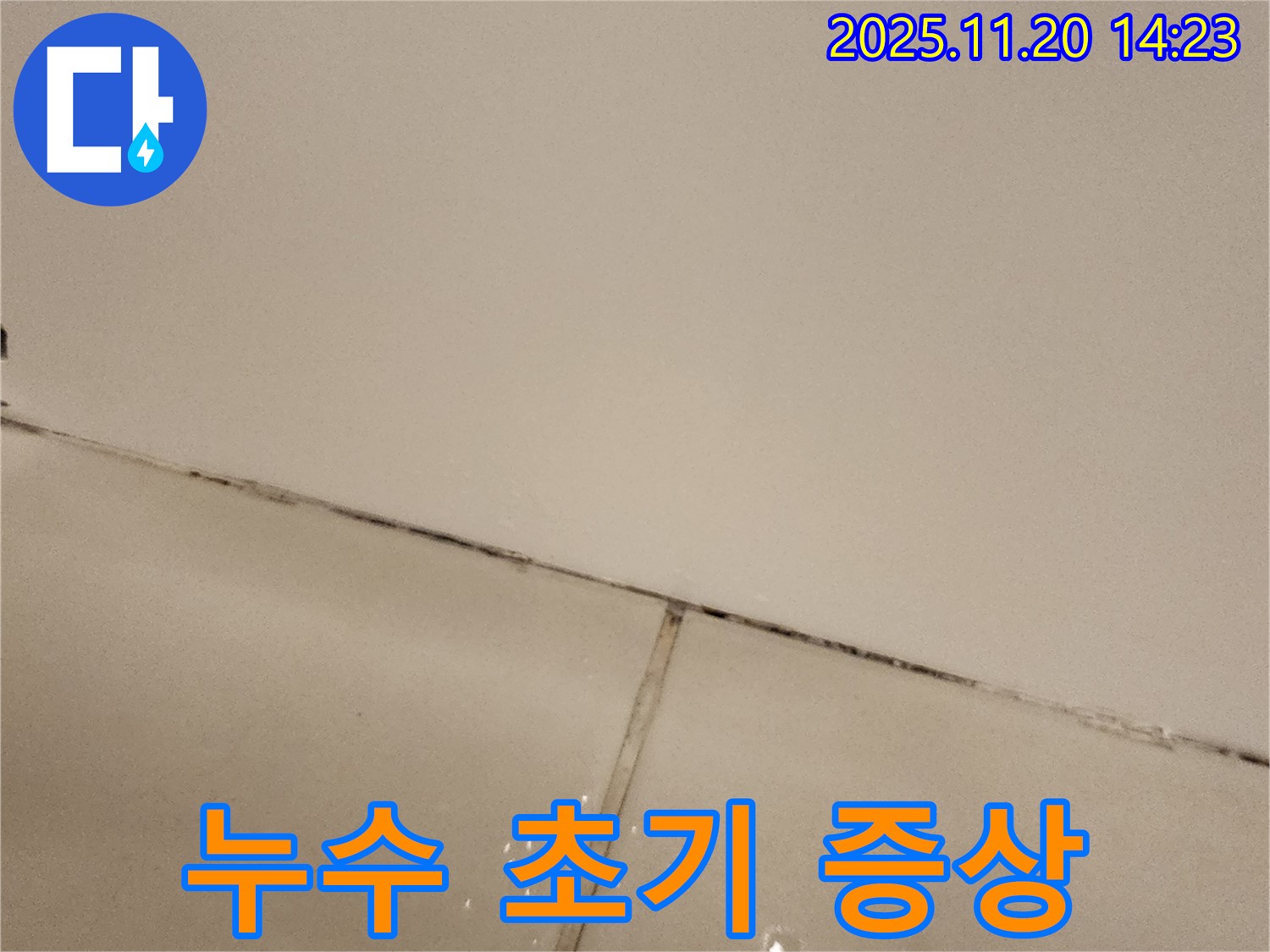 포천 가산면 마산리 - 곰팡이 슨 타일 틈새, 누수 초기 증상 의심