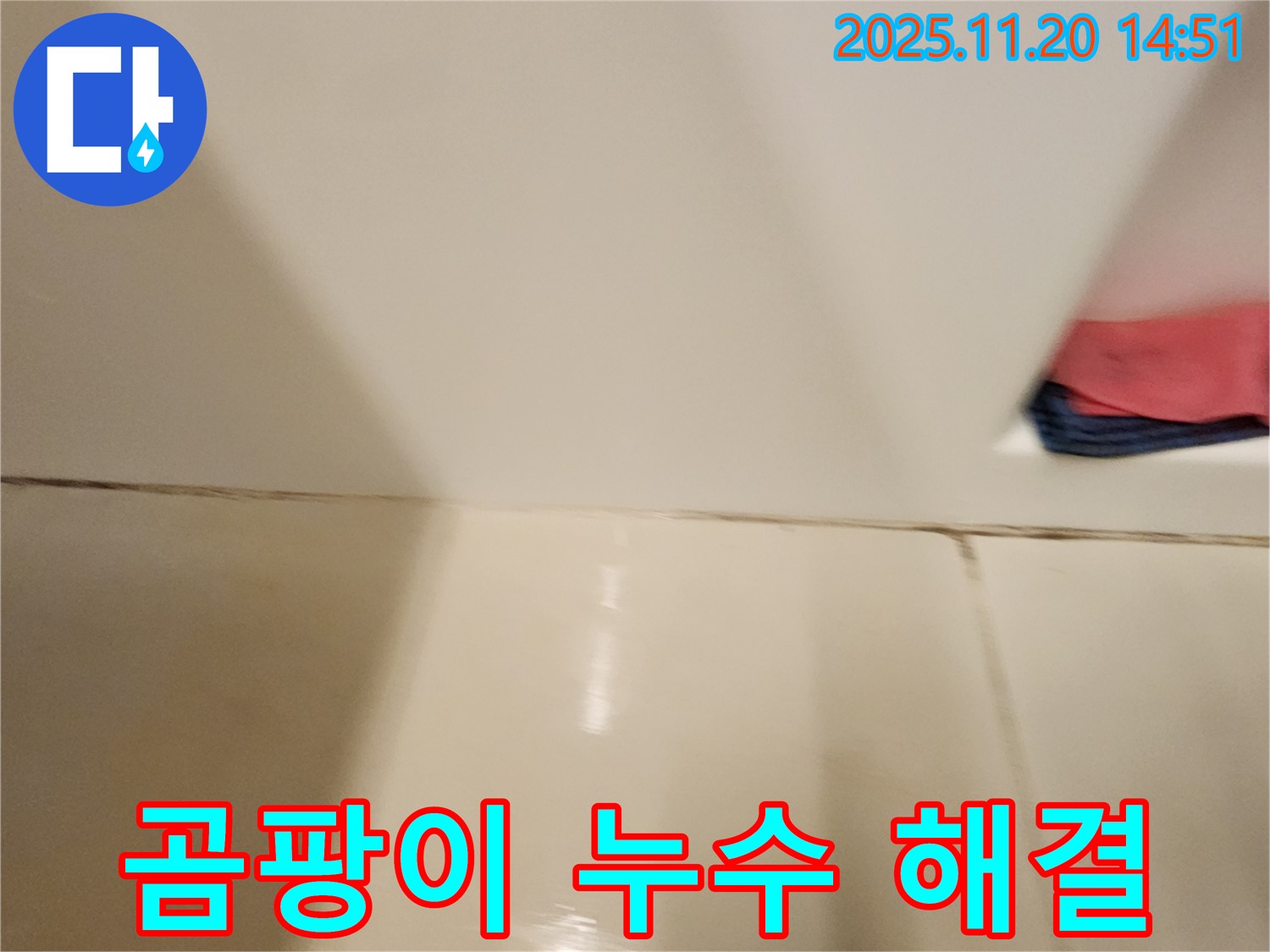 포천 가산면 마산리 - 곰팡이 핀 타일 틈새 누수 - 곰팡이 제거 후 완벽한 방수 시공으로 곰팡이와 누수 걱정 없이!