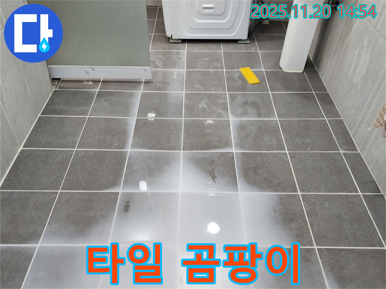 포천 가산면 마산리 욕실 - 타일 곰팡이 심각 - 누수 초기 단계 가능성 점검