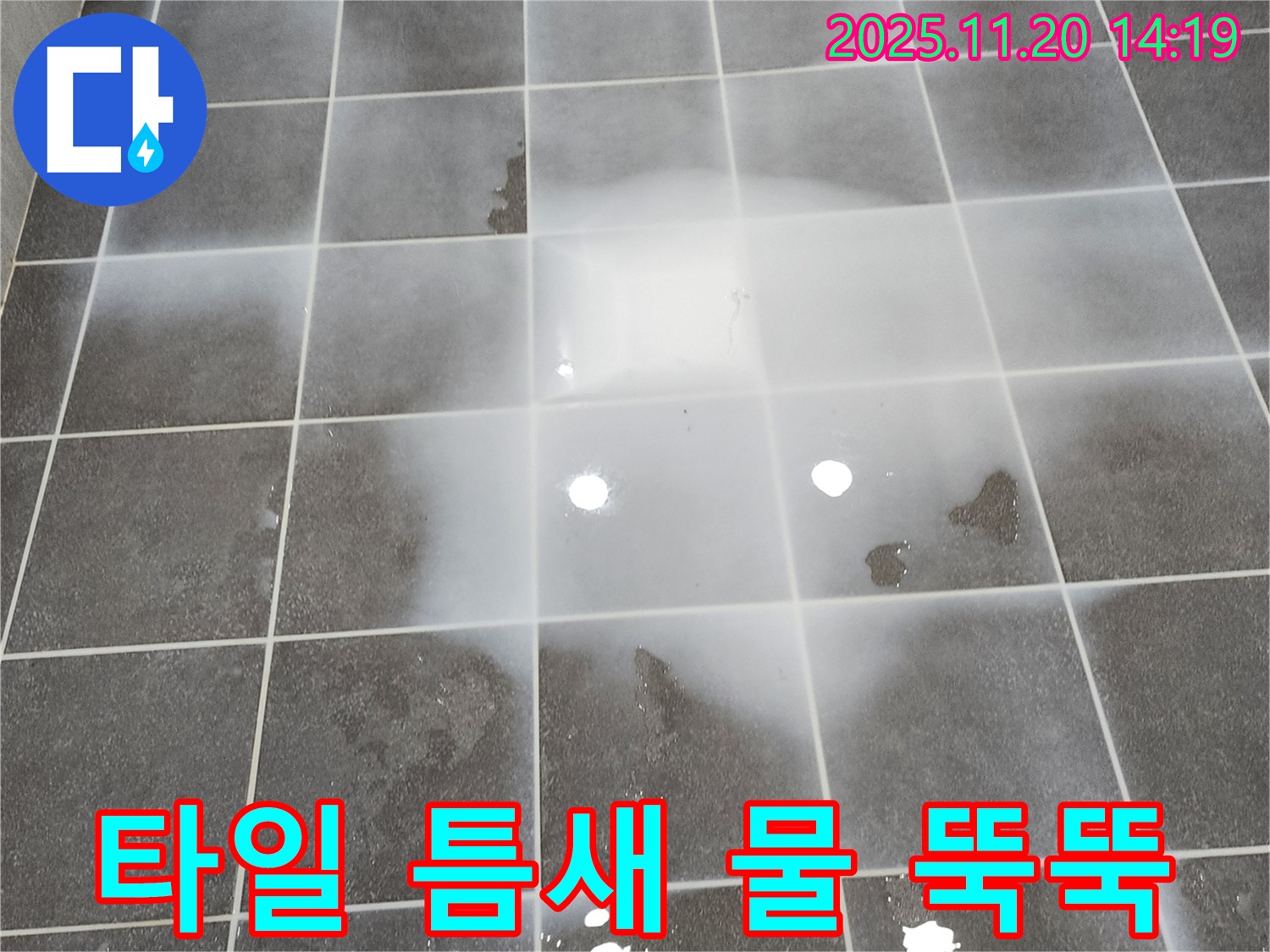 포천 가산면 마산리 - 타일 틈새에서 물이 뚝뚝 떨어지는 심각한 누수 상황 - 포천 누수탐지 해결사가 필요합니다.