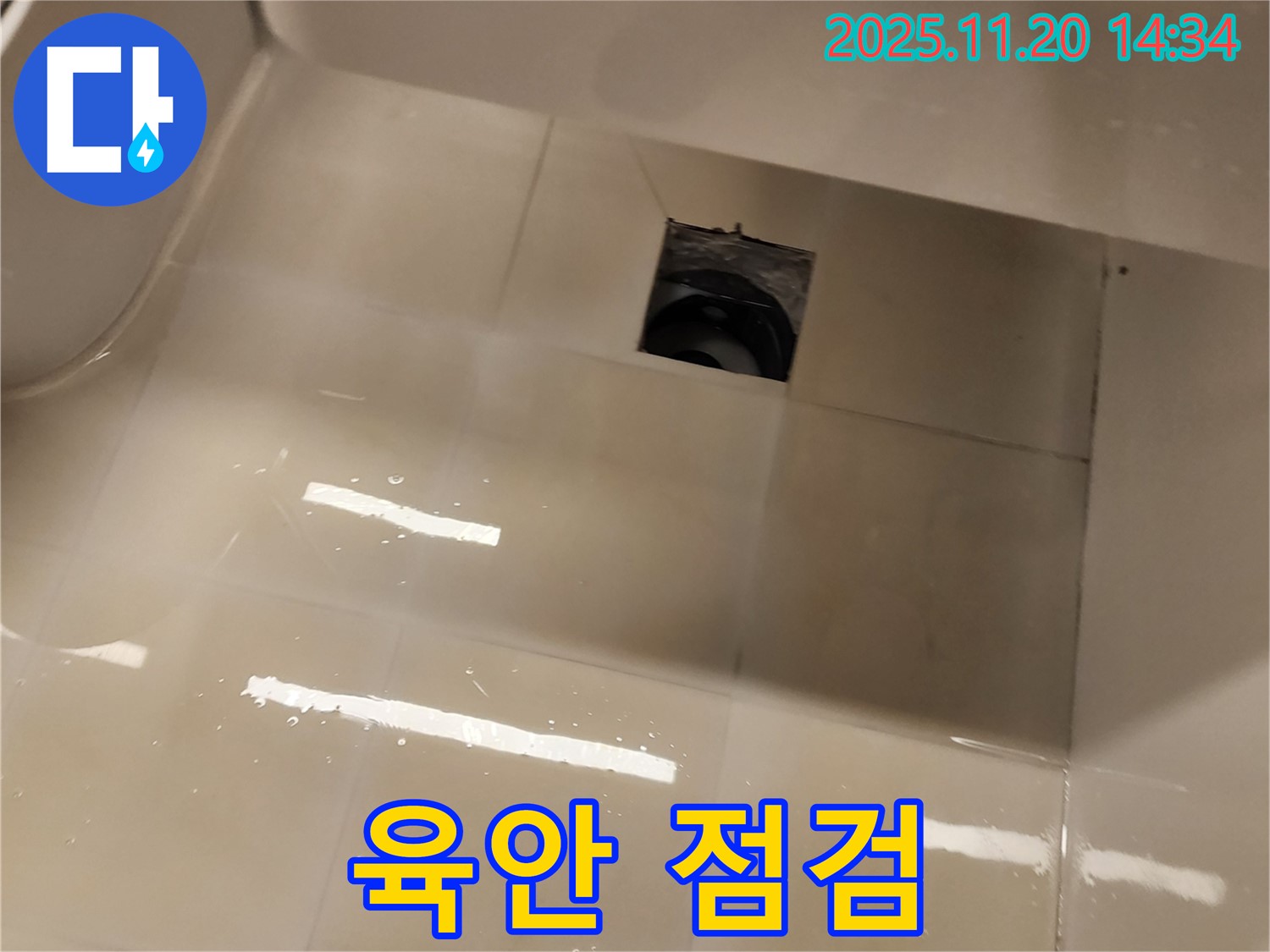 포천 가산면 샤워 트레이 누수 - 배수구 주변을 꼼꼼하게 육안으로 점검하고 있습니다.