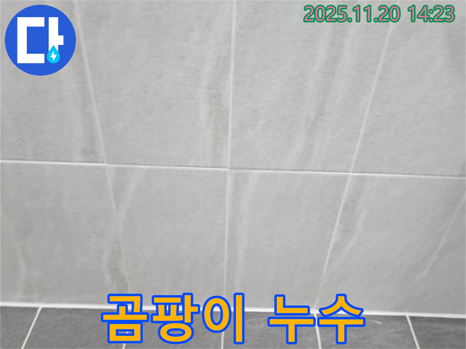 포천 가산면 욕실 타일 곰팡이 및 누수 - 곰팡이 제거 및 누수 해결