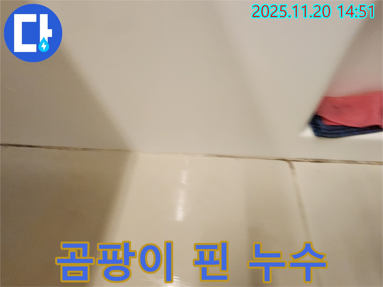 포천 가산면 타일 틈새 곰팡이 누수 - 곰팡이 제거와 누수 해결을 동시에!
