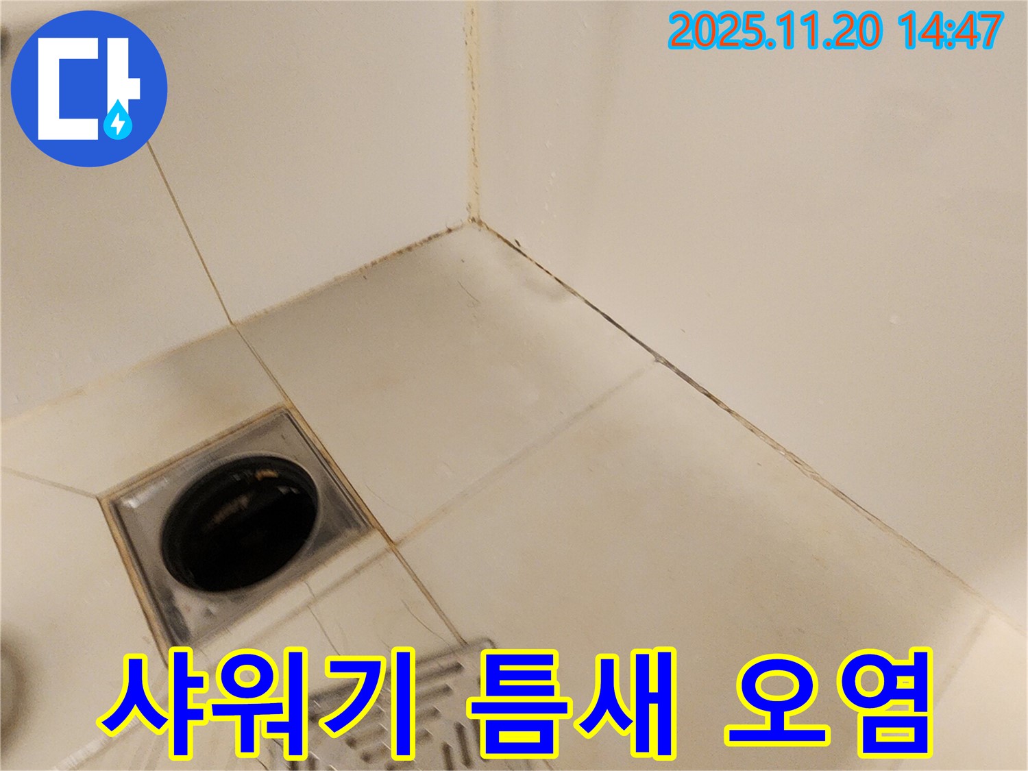 포천 마산리 샤워기 벽면 - 샤워기 벽면 타일 틈새가 오염되고 곰팡이가 피어있어 누수 점검합니다.