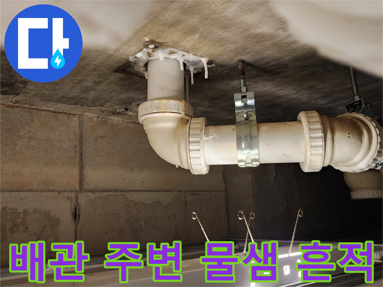 화장실-하부-천장-배수관-주변-습기-및-오염-상태